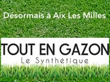 Fausse pelouse à acheter à Aix Les Milles, chez Tout en Gazon